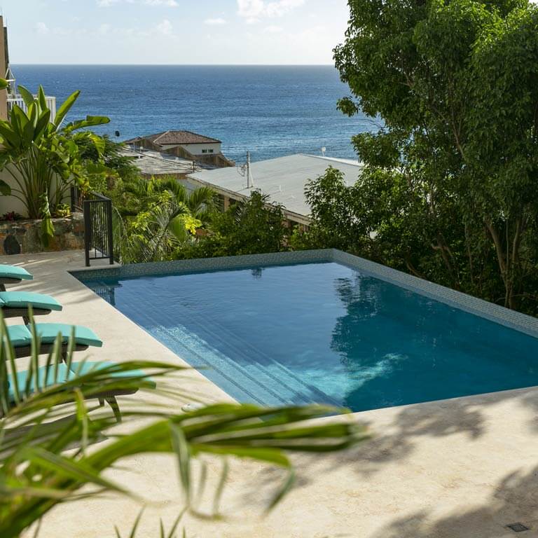 Seagrape Vista Banner